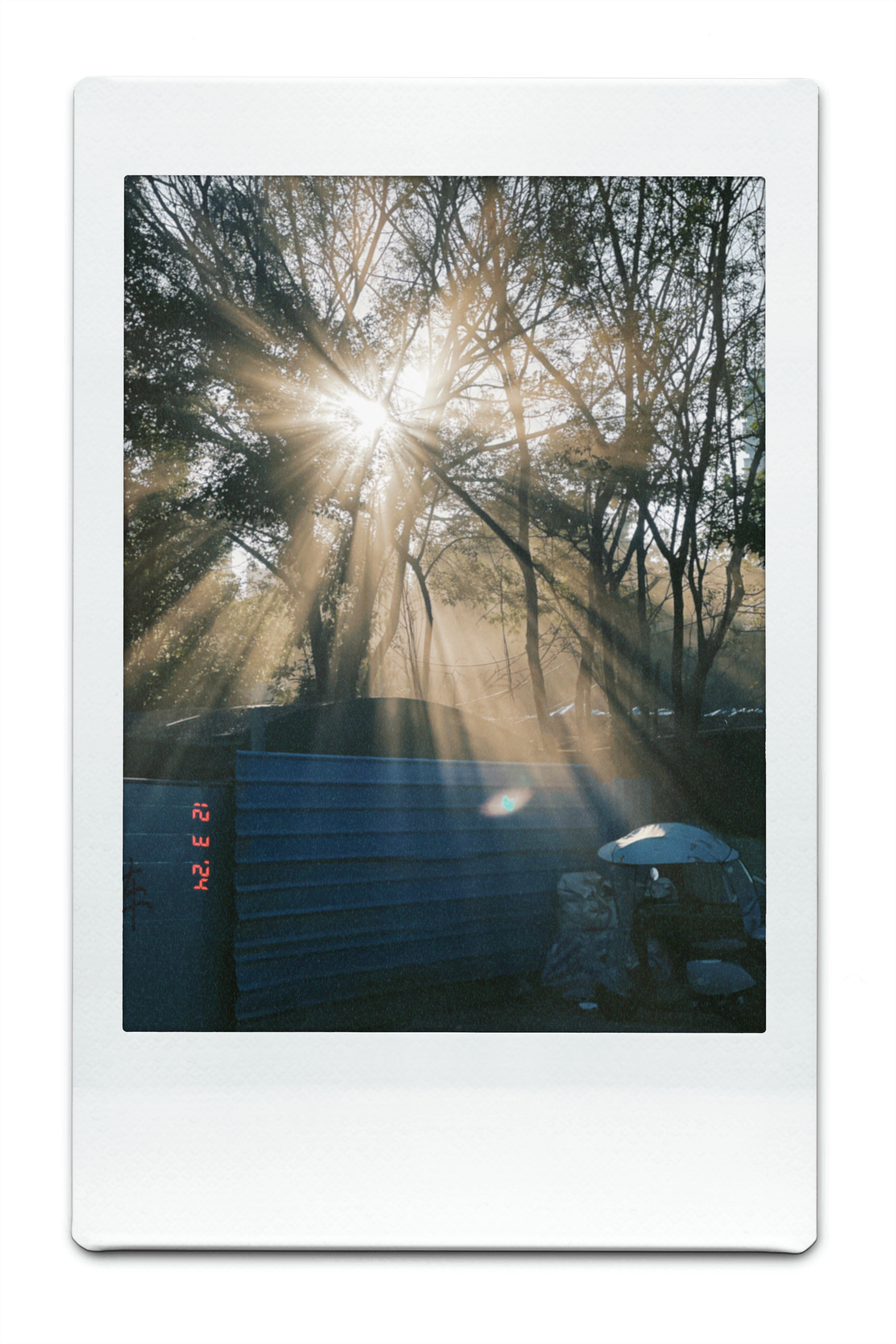 notion image