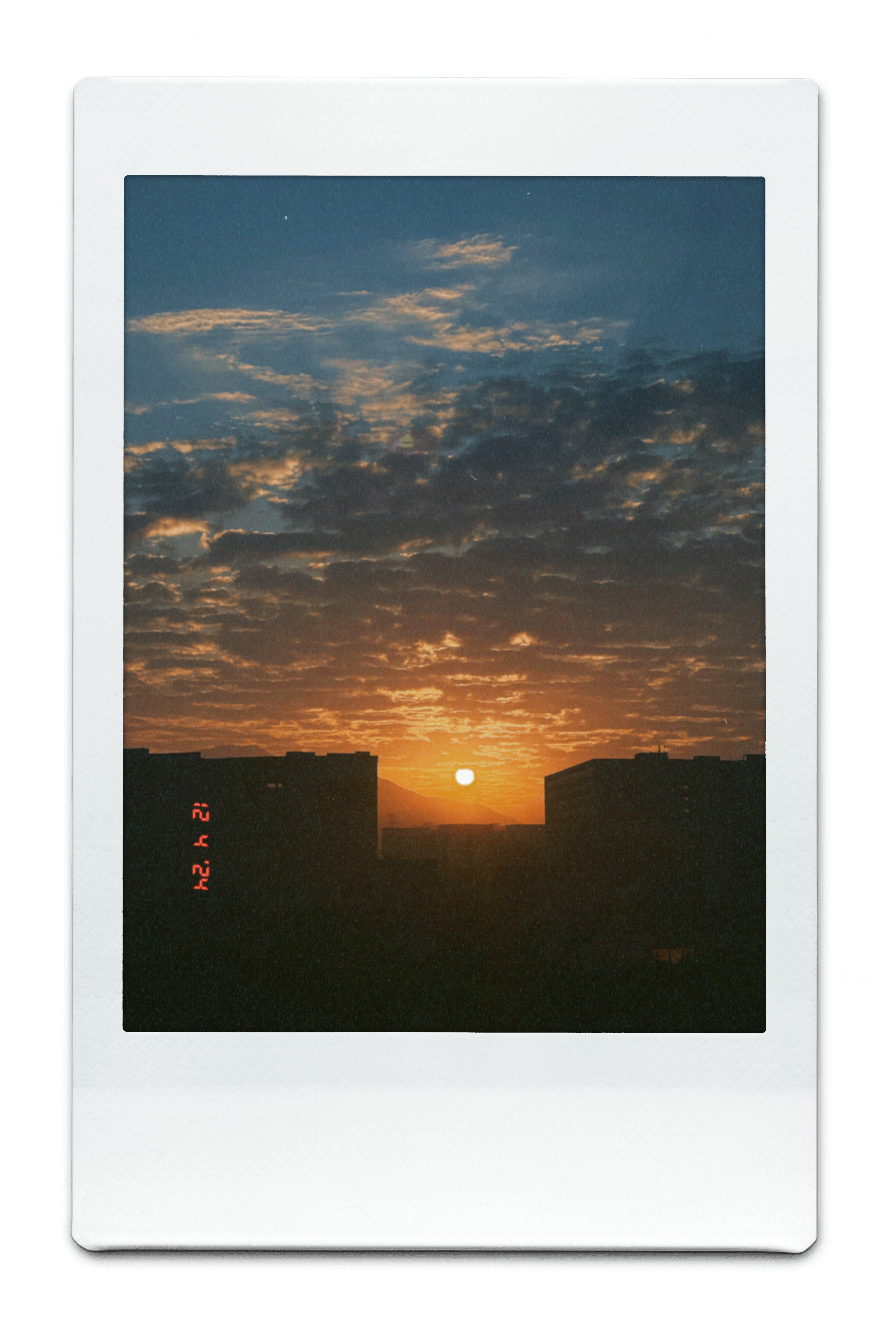 notion image