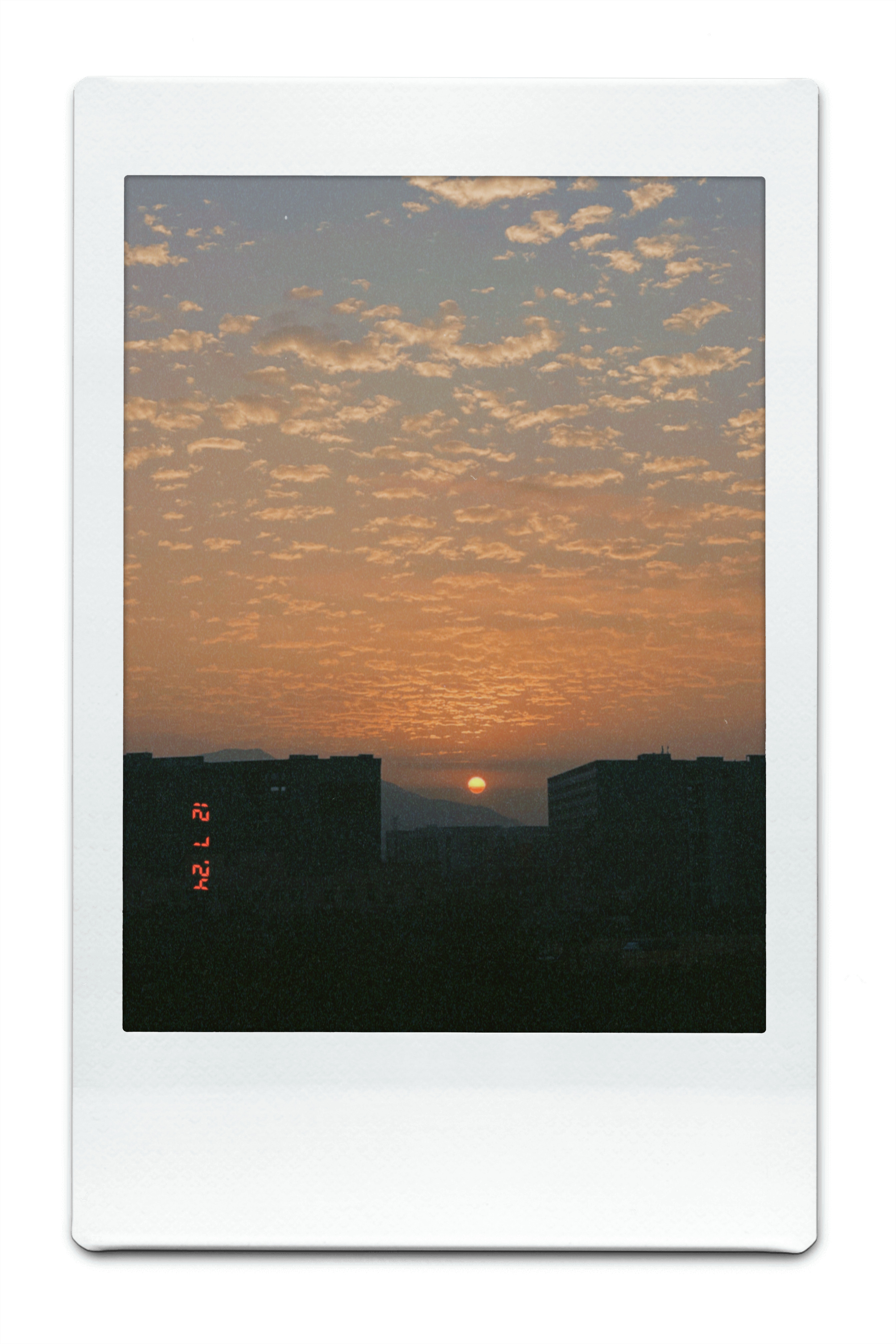 notion image